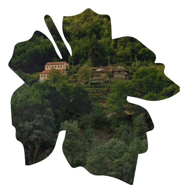 Adega do Mollón